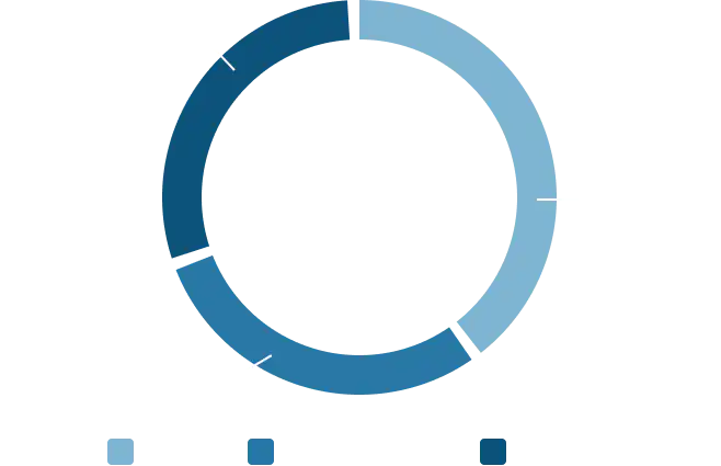 「年齢」の円グラフ