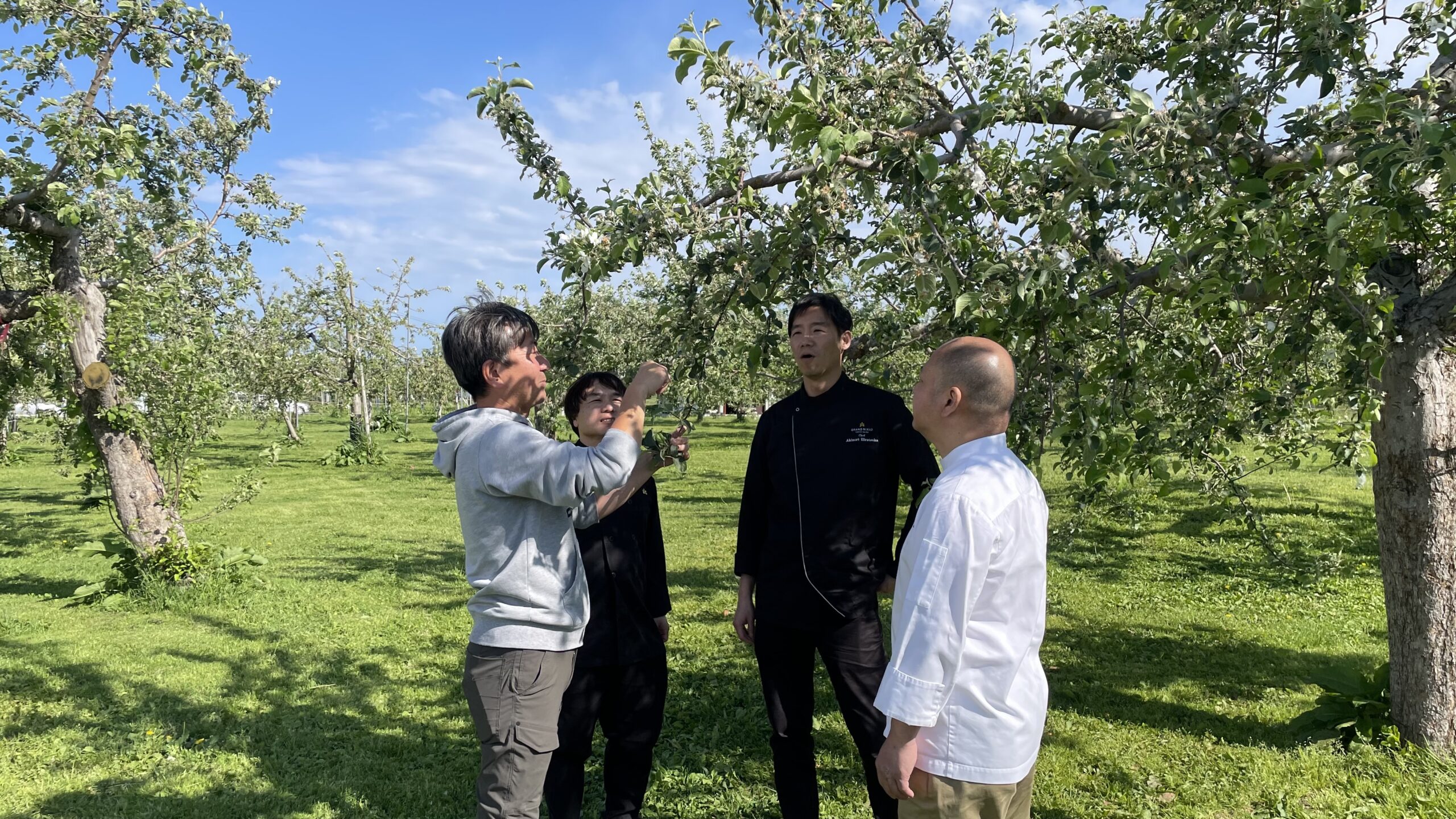 ザ・キャピトルホテル 東急「青森県食材フェア」に協力　～青森県食材の魅力を首都圏で発信～のサムネイル画像