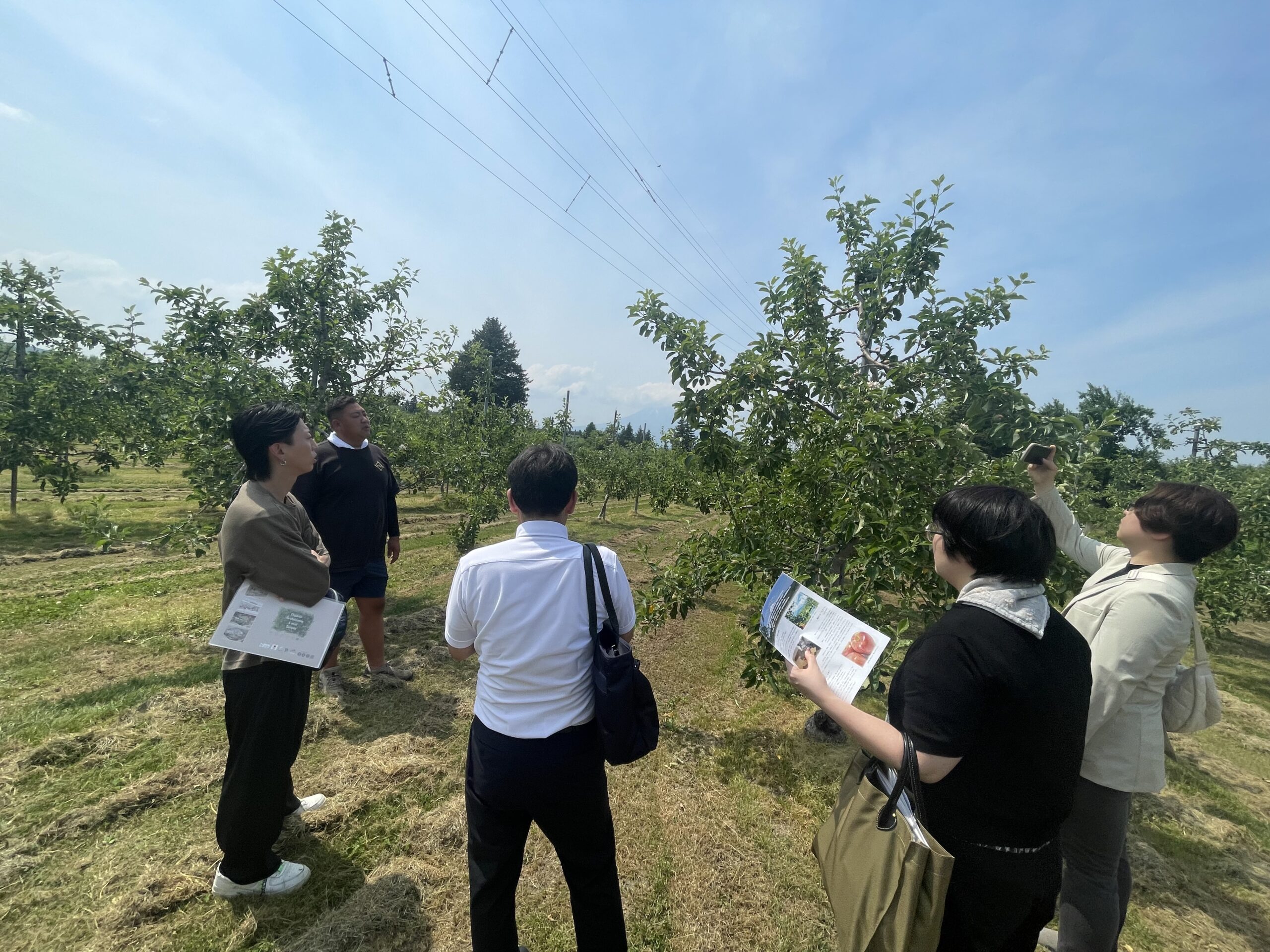 ～あおもり創生パートナーズが協力、青森県の魅力ある食品を首都圏へ ～自然食品専門スーパー「こだわりや」全48店舗で「青森フェア」初開催！のサムネイル画像