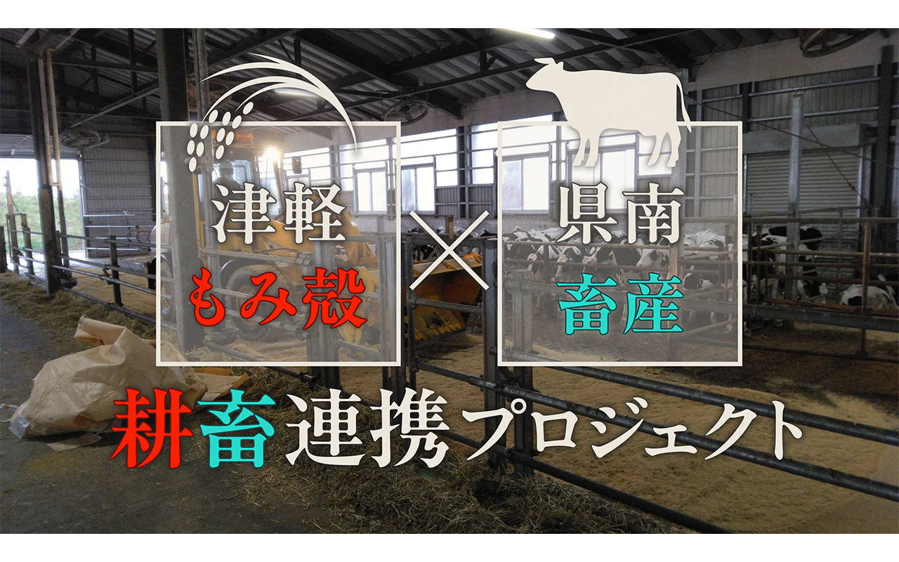 津軽「もみ殻」×県南「畜産」による「耕畜連携プロジェクト」～「もみ殻の敷料利用に係る実演会」開催～のサムネイル画像